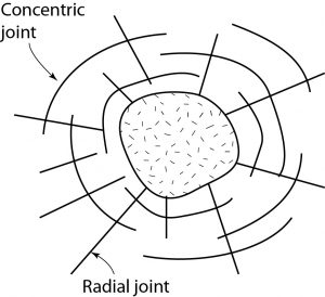 Radialconcentric-300x274.jpg