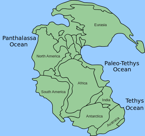 500px-Pangea_continents_and_oceans.svg_.png