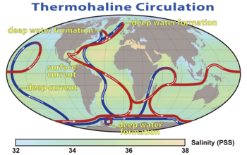 350px-Thermohaline_Circulation_2.png