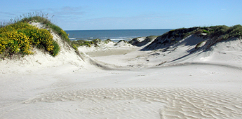 Padre_Island_National_Seashore_-_sand_dunes3.jpg