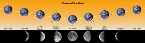 sm_600px-Phases_of_the_Moon.jpg