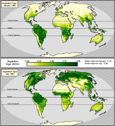 Global NDVI for Jan and July.png