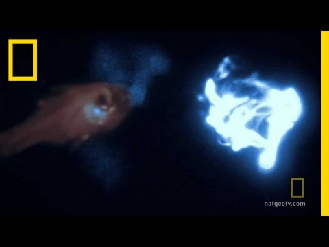 Thumbnail for the embedded element "Bioluminescence on Camera | National Geographic"