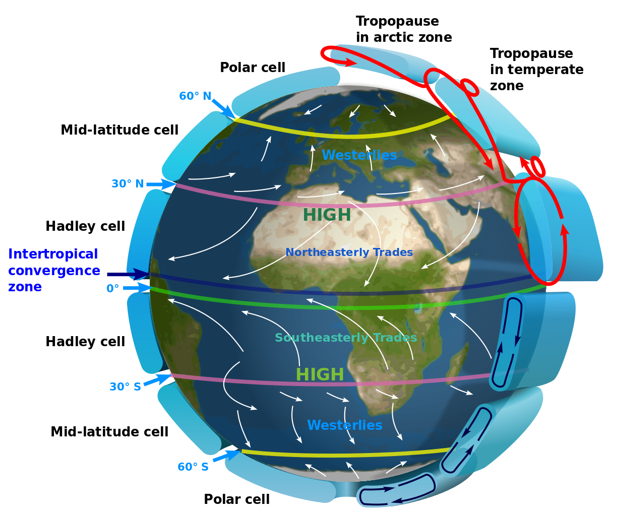 Global circulation of Earth's atmosphere displaying Hadley cell, Ferrell cell and polar cell.