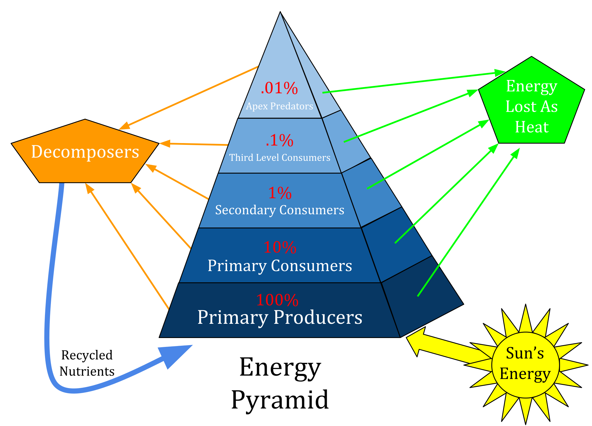 2000px-Ecological_Pyramid.svg.png