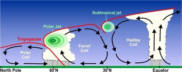 As wind cells get further from the the pole and closer to the equator, the cells get larger. The Polar cell lies between the North Pole and sixty degrees north. The ferrel cell lies between 60 and 30 degrees north and interacts with the polar jet. The Hadley cell lies between 30 degrees north and the equator and interacts with the subtropical jet.
