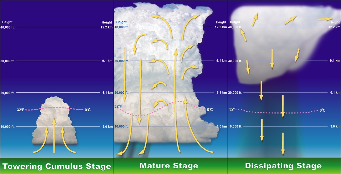 There are three stages of thunderstorm formation: towering cumulus stage, mature stage, and dissipating stage. In the Towering cumulus stage, the cloud is between 10,000 and 20,000 feet in the air, and approximately 10,000 feet in height. Water vapor is still accumulating into the cloud. In the mature stage, the cloud spans between 10,000 and 50,000 feet, making the cloud approximately 40,000 feet in height. Water vapor is accumulating to increase the cloud’s size even as rain falls, reducing the cloud. In the dissipating stage, the cloud is located between 20,000 and 40,000 feet, making the cloud approximately 20,000 feet in height. The cloud is raining, drastically reducing the cloud size, as no more water vapor is being drawn into the cloud.