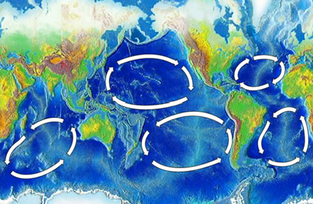 There are five major ocean-wide gyres — the North Atlantic, South Atlantic, North Pacific, South Pacific, and Indian Ocean gyres. Each is flanked by a strong and narrow western boundary current, and a weak and broad eastern boundary current.