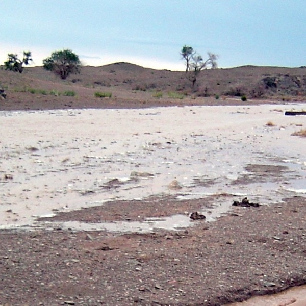 A flood across a desert wash