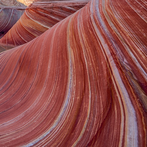 A wave shaped eroded rock striped with the layers of sediment in reds, white, pinks and orange