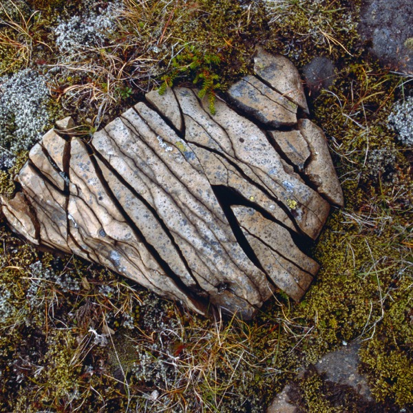 A rock that has bee cleaved, split into multiple pieces laying on a bed of moss