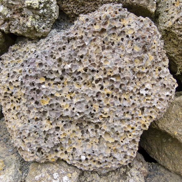 a light colored porous rock