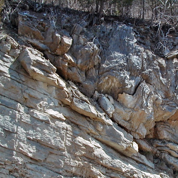 a roadcut showing tilted rocks indicating a fault