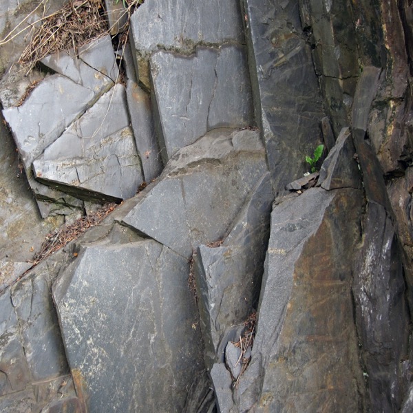 Flat sheets of smooth black rock line the side of a roadcut