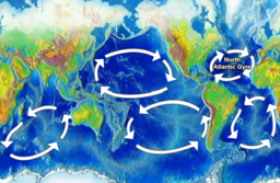 11: Ocean Circulation