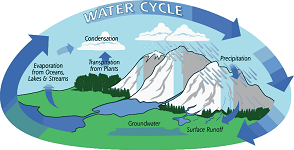 12: The Hydrologic Cycle, the Sediment Cycle, and the Carbon Cycle