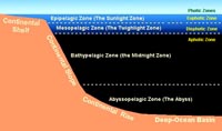 Pelagic zones