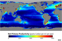 Ocean productivity satellite composit image