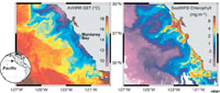 Chlorophyll concentrations in coastal California compared with sea-surface temperatures