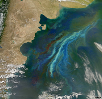 El fitoplancton florece en el Atlántico Sur cerca de Argentina