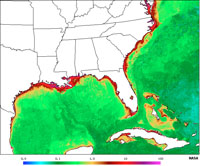 Chlorophy concentrations on the east coast