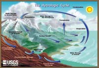 The Water Cycle illustrated