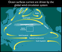 Pacific Circulation System