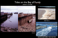 Tides of the Bay of Fundy