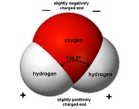 Molécula de agua que muestra propiedades polares