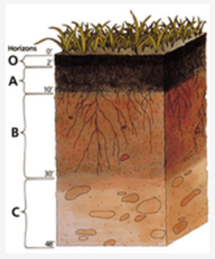 RST Figure 4.png