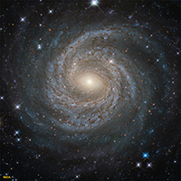 A Spiral galxy (NGC 6814)
