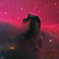 La Nebulosa Cabeza de Caballo
