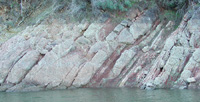 Rock formations exposed along Calvert Cliffs, Chesapeake Bay, Maryland