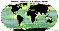 Productividad del plancton en los océanos del mundo