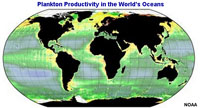 Plankton productivity in the world's oceans