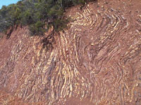 cinta chert, Marin Headlands, California