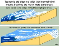 Tsunami surge