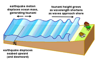 Tsunami diagram