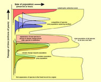 Population changes in a local ecosystem over time (select species and total population of all species).