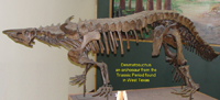 Desmatosaurio del oeste de Texas
