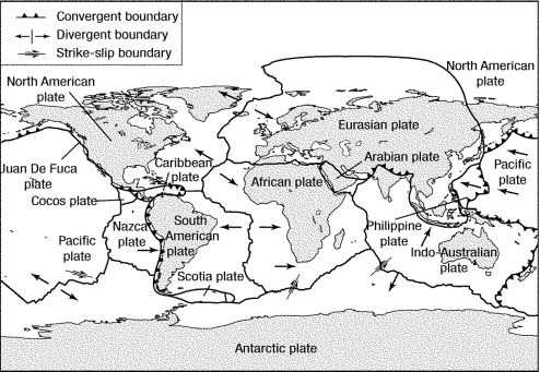Plate tectonics map of the world