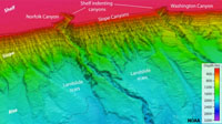 Pendiente Continental con cañones submarinos cerca de la costa de Virginia.