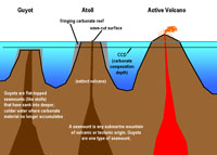 atolls, guyots, seamounts