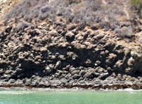 Pillow basalts at Avila Beach, CA