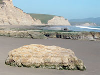 Wave-cut platform on Drakes Beach, Point Reyes National Seashore, CA