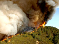 Firestorm of the Zaca Fire in Santa Barbara County in 2007.