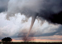 A tornado