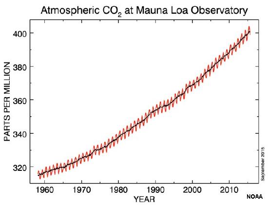 Carbon-dioxide concentrations record for the past 50 years.