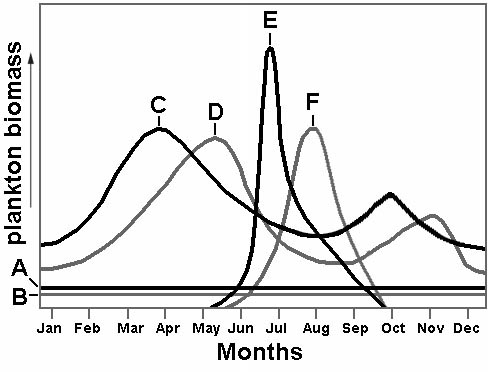 Productivity of phytoplankton and zooplankton in world tropical, temperate, and polar zones