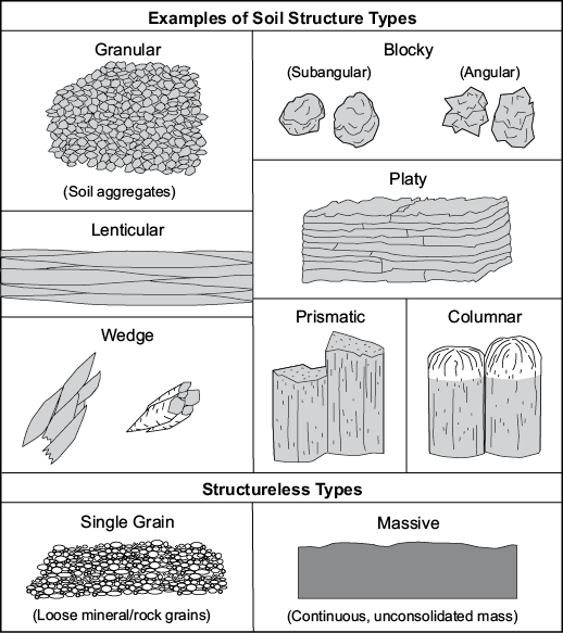 Diagramas de tipos de estructura de suelo